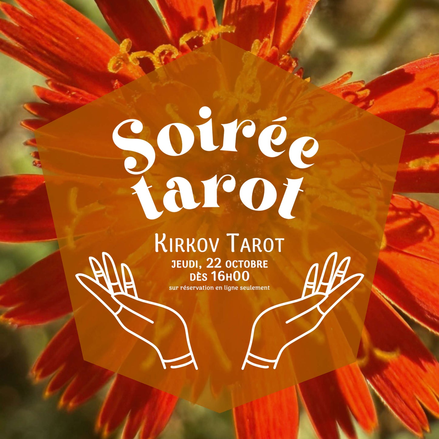 Lecture privée de tarot avec Kirkov Tarot jeudi 22 octobre 2026