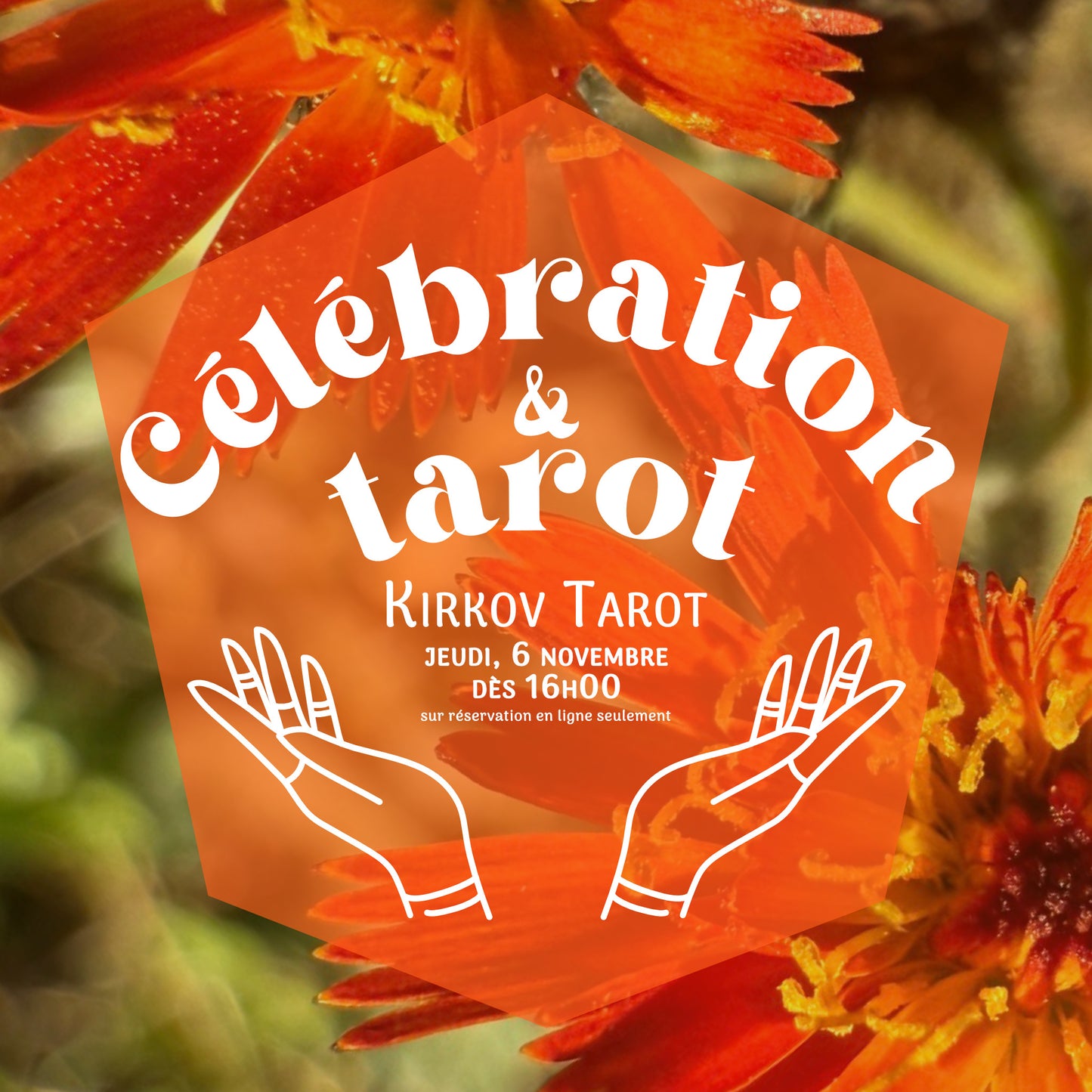 Lecture privée de tarot avec Kirkov Tarot jeudi 6 novembre 2025